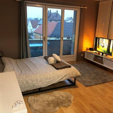 Cosy-Adventure : Haguenau Apartman Kültér fotó